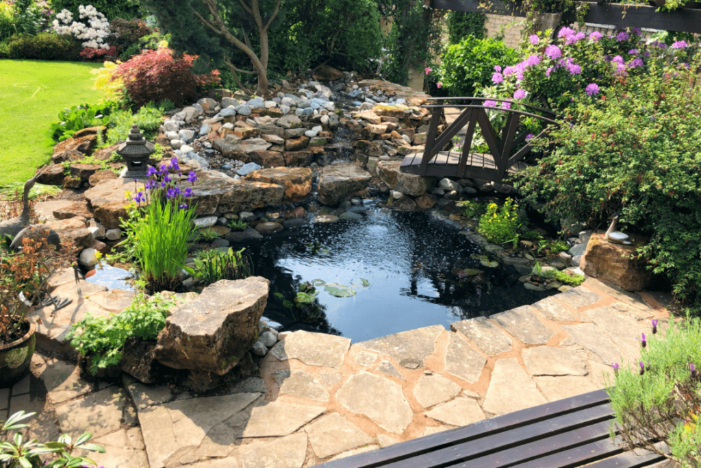 Have Your Pond Overseen Through the Seasons